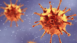 Pakistan reports increase in daily coronavirus deaths